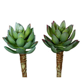 Élethű, betűzős kövirózsa műnövény, kétféle változatban.