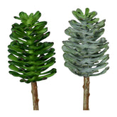 Élethű betűzős varjúháj műnövény, kétféle változatban.