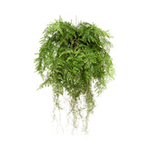 Élethű megjelenésű, 55 cm hosszú, függeszthető kialakítású, páfrány műnövény dekoráció