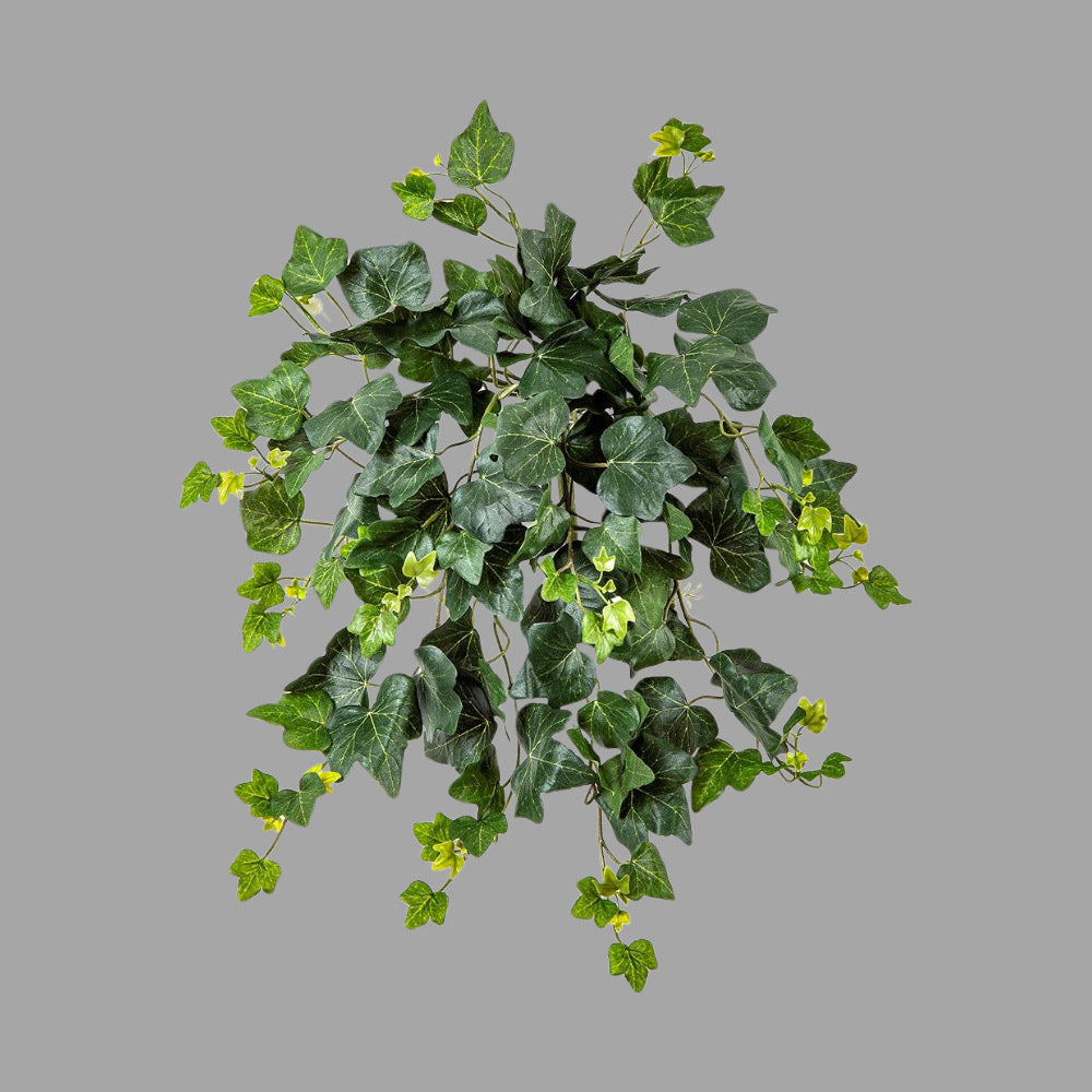 48 cm hosszú, UV-álló, élethű borostyán csüngő műnövény a Hedera kollekcióból. 48 cm hosszú, UV-álló, élethű borostyán csüngő műnövény a Hedera kollekcióból.