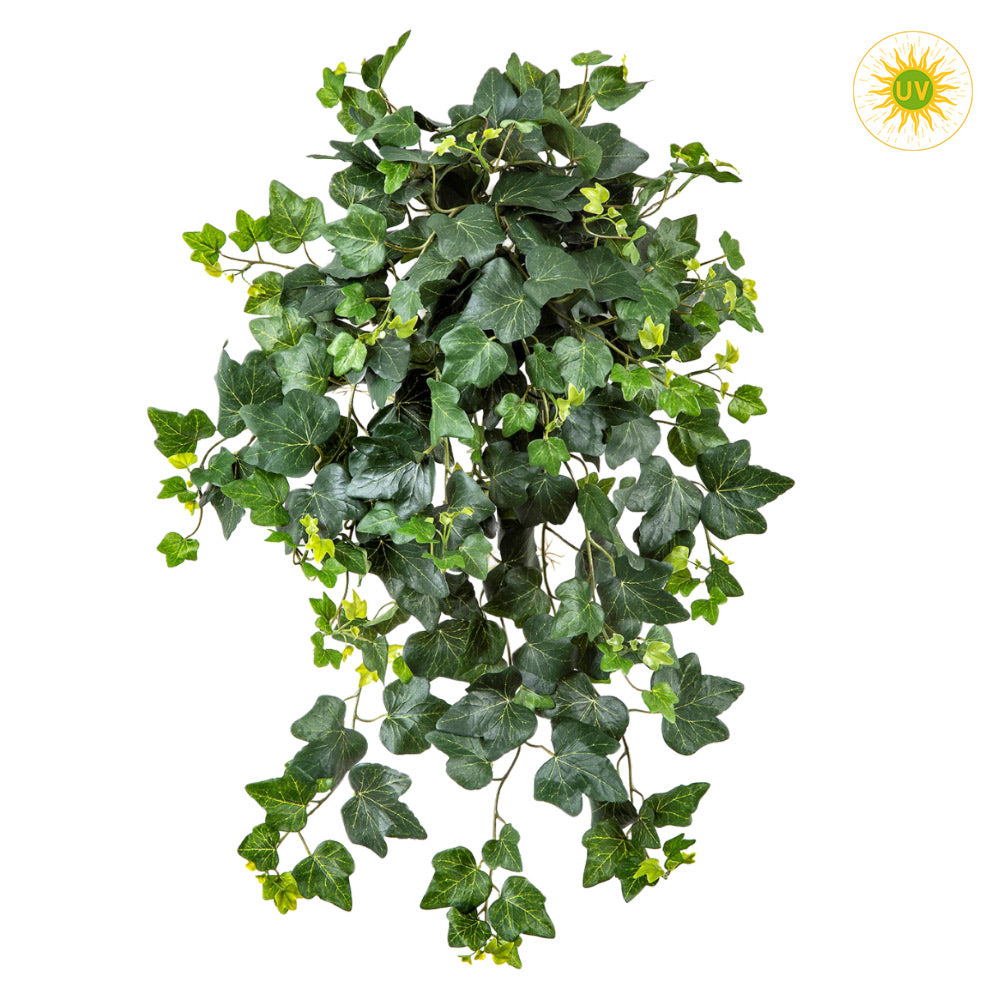 65 cm hosszú, UV-álló, élethű borostyán csüngő műnövény a Hedera kollekcióból. 65 cm hosszú, UV-álló, élethű borostyán csüngő műnövény a Hedera kollekcióból.