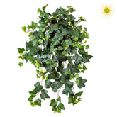 65 cm hosszú, UV-álló, élethű borostyán csüngő műnövény a Hedera kollekcióból.