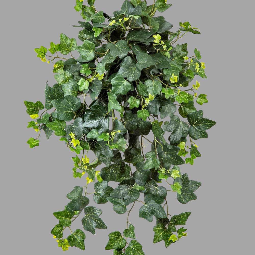 65 cm hosszú, UV-álló, élethű borostyán csüngő műnövény a Hedera kollekcióból. 65 cm hosszú, UV-álló, élethű borostyán csüngő műnövény a Hedera kollekcióból.