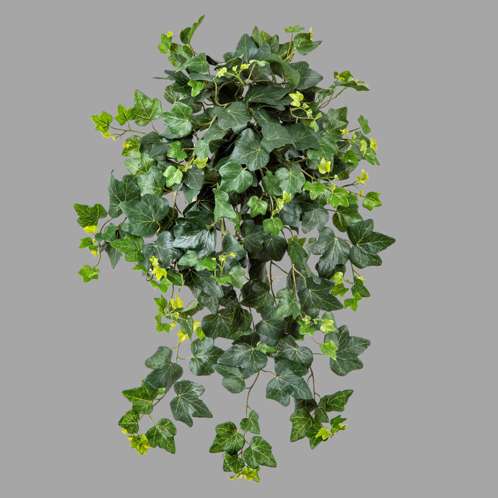 65 cm hosszú, UV-álló, élethű borostyán csüngő műnövény a Hedera kollekcióból. 65 cm hosszú, UV-álló, élethű borostyán csüngő műnövény a Hedera kollekcióból.