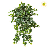 Élethű megjelenésű, 65 cm hosszú, UV-álló, zöld színű, tarka levelű borostyán csüngő műnövény