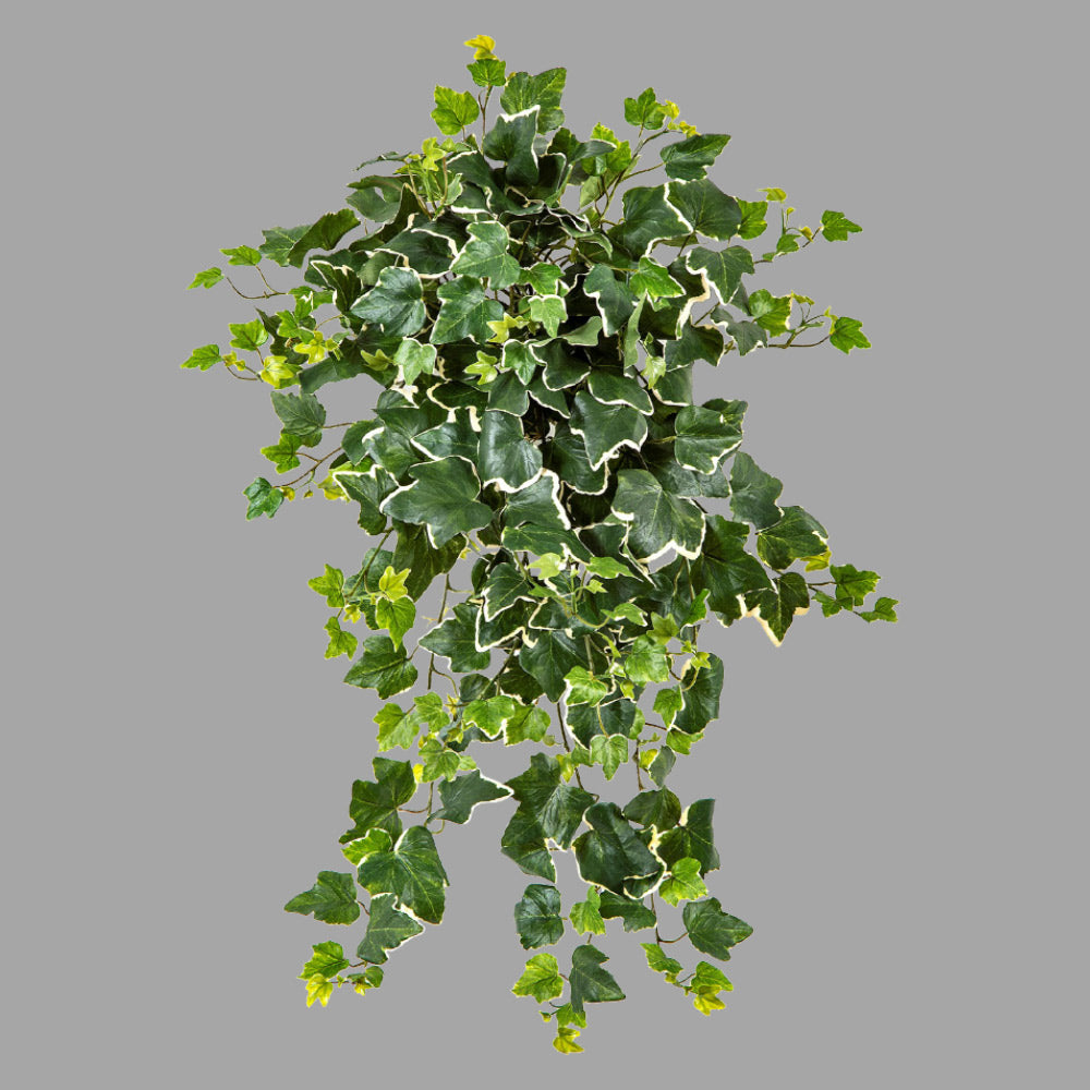 Élethű megjelenésű, 65 cm hosszú, UV-álló, zöld színű, tarka levelű borostyán csüngő műnövény Élethű megjelenésű, 65 cm hosszú, UV-álló, zöld színű, tarka levelű borostyán csüngő műnövény