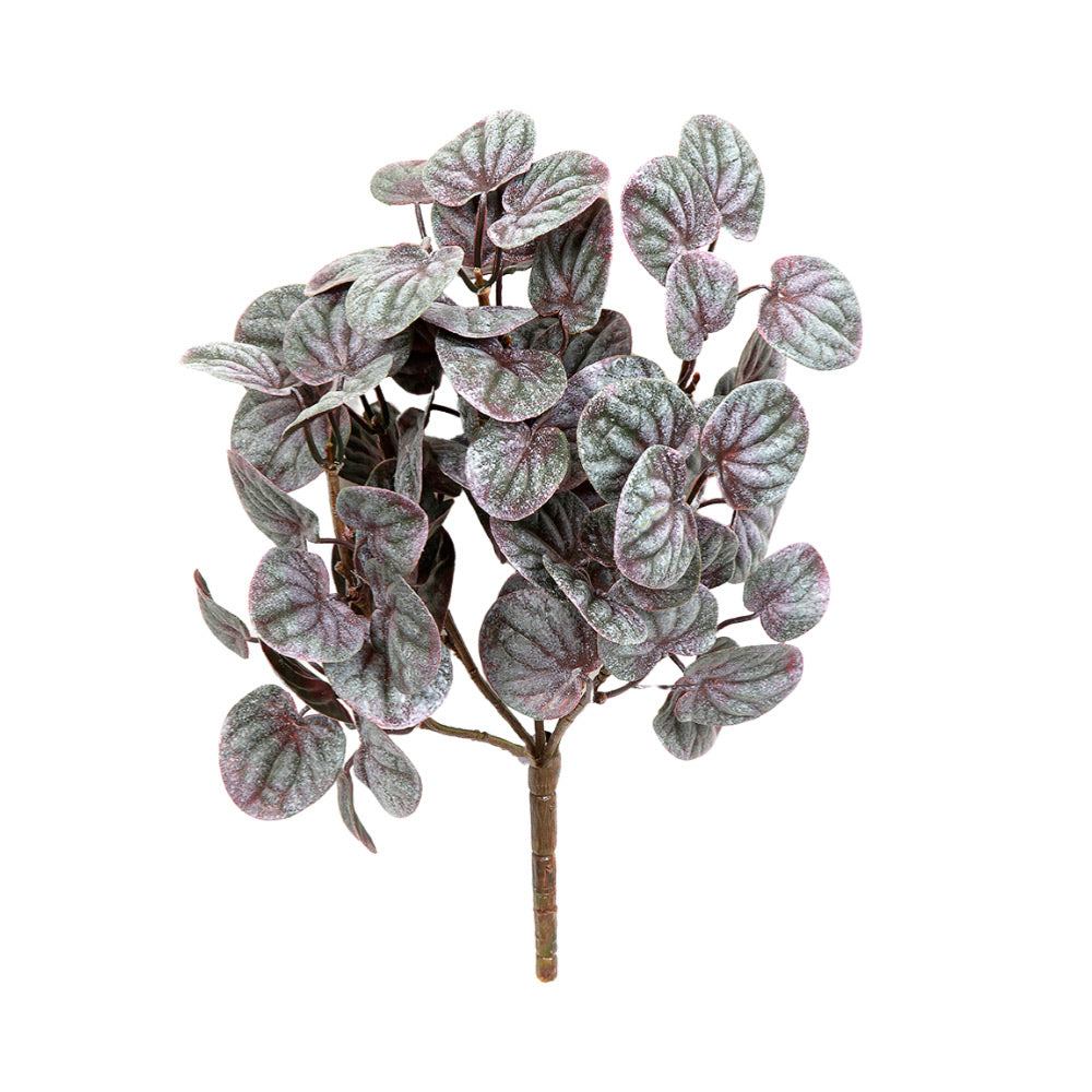 Bíbor árnyalatú törpebors műnövény betűzhető kialakítással fehér háttéren