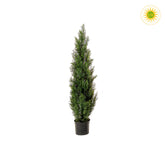UV-álló, 120 cm magas, mű cédrus tuja műnövény fekete, műanyag cserépben