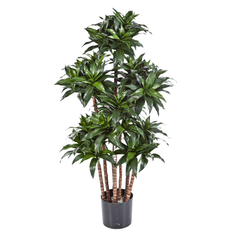 Élethű megjelenésű, mű sárkányfa, fekete színű műanyag cserépben