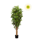 UV-álló, mesterséges fikusz cserje fekete kaspóban