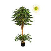 UV-álló, mesterséges fikuszcserje fekete kaspóban.