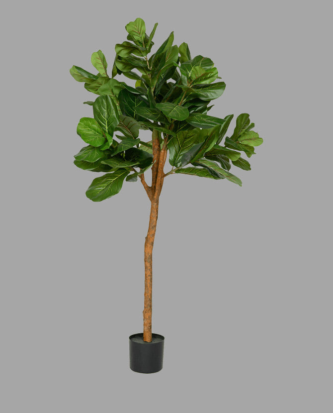 UV-álló fikusz műnövény 150 cm zöld "Ficus Lyrata"