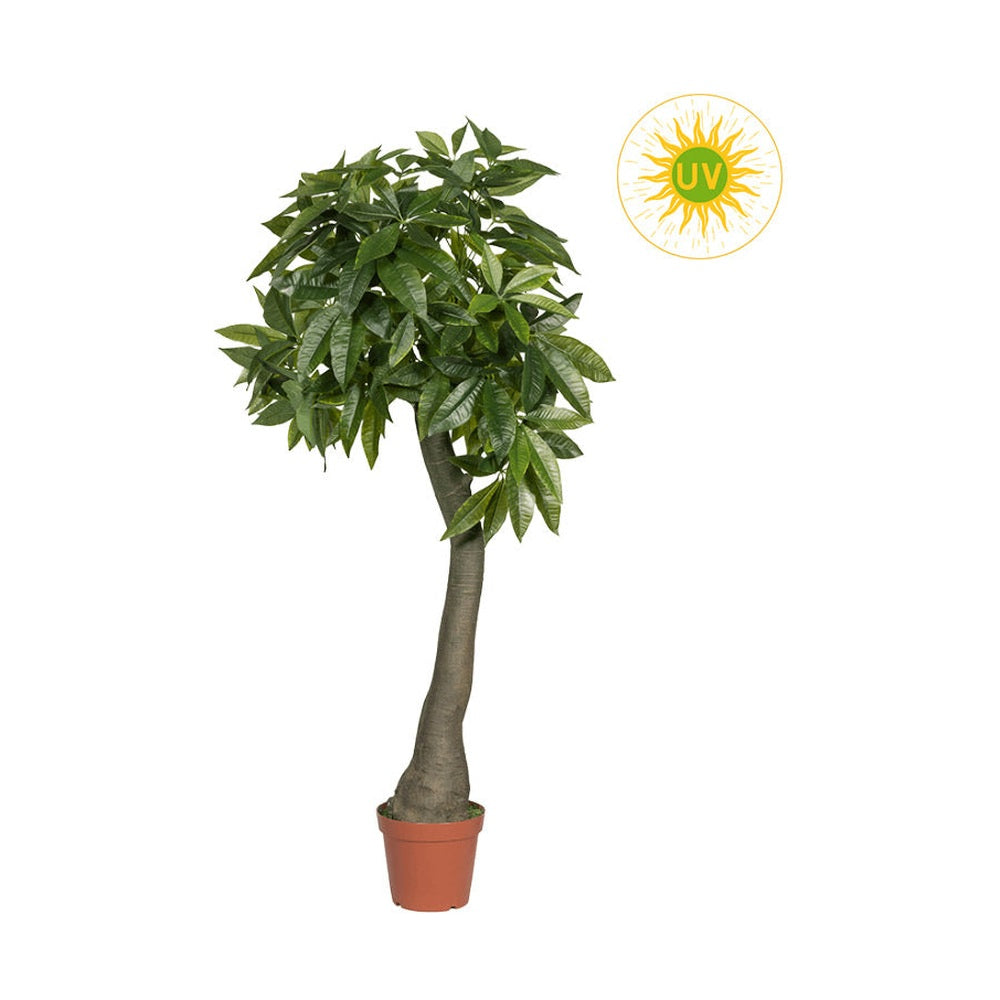 UV-álló, mű vadkakaó fa műanyag cserépben