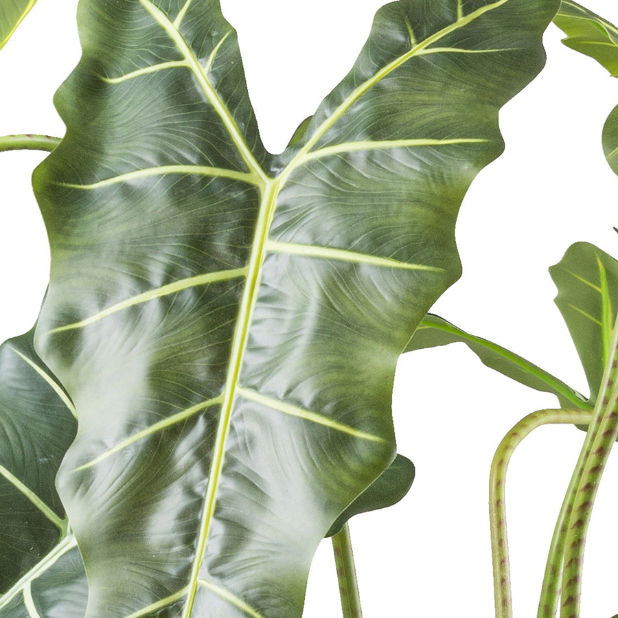 Leaf detail of a tall artificial Alocasia Zebrina plant from the Alocasia collection