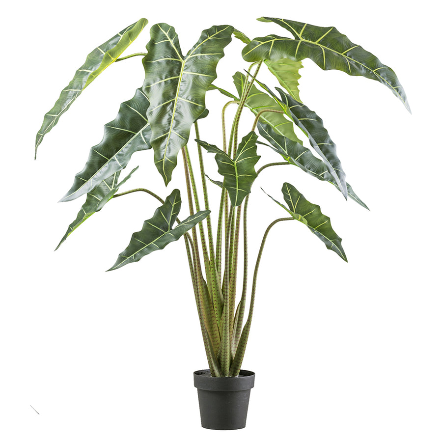 Alocasia Zebrina műnövény 160 cm magas zebra mintás szárú bokor fekete műanyag kaspóban