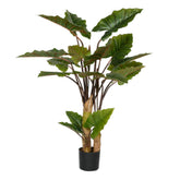 ALOCASIA zöld mű alokázia bokor 160 cm, fekete műanyag kaspóban, beltéri elhelyezéshez