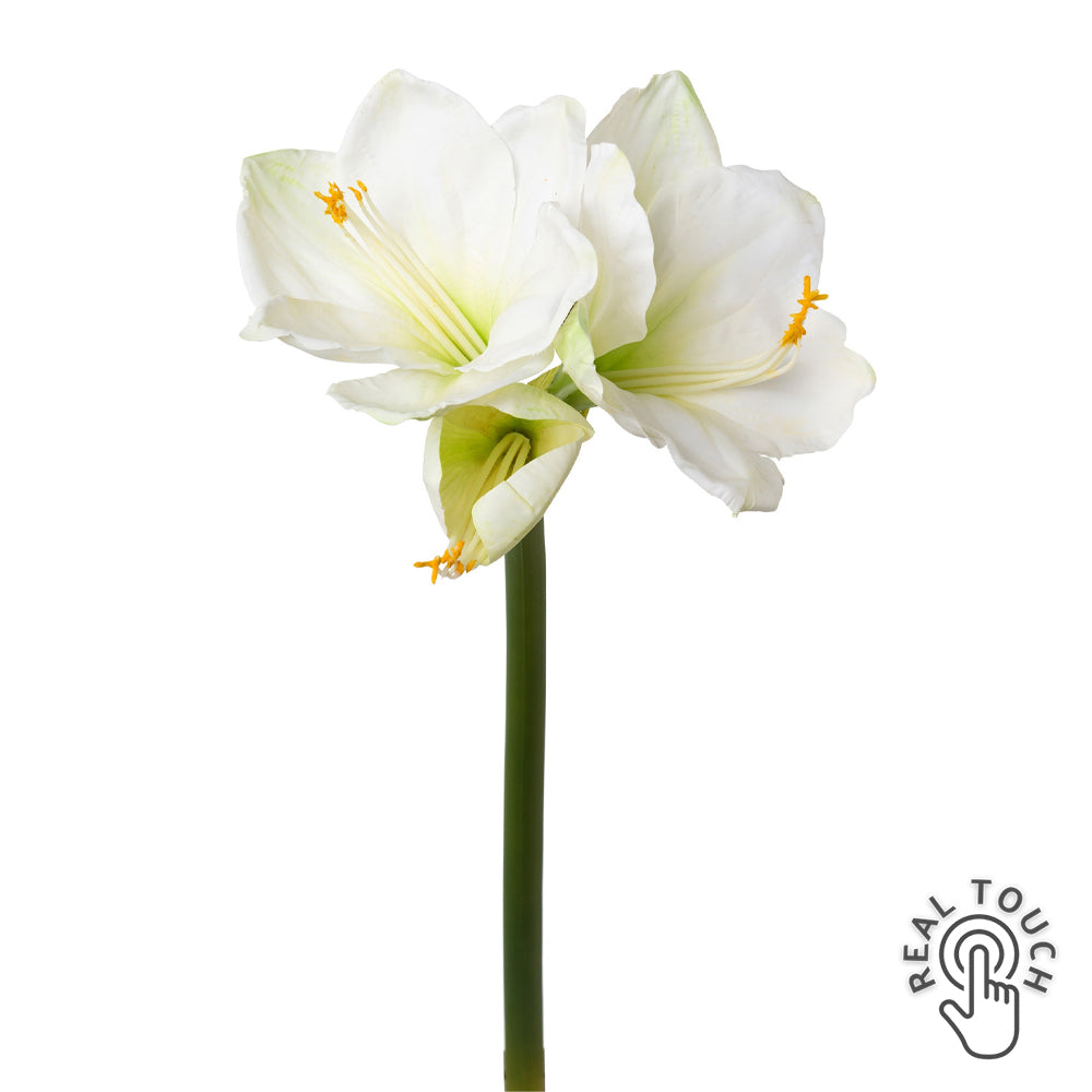 Fehér színű, amarillisz művirág.