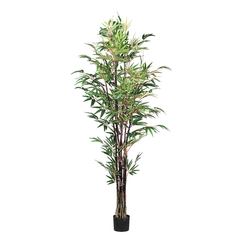 Mű bambusz növény 190 cm-es magasságban, fekete kaspóban, fehér háttér előtt.