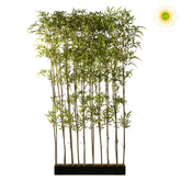 200 cm magas, UV-álló mű bambusz térelválasztó fekete fa kaspóban, valódi bambusz törzzsel és 4320 lándzsa alakú levéllel.