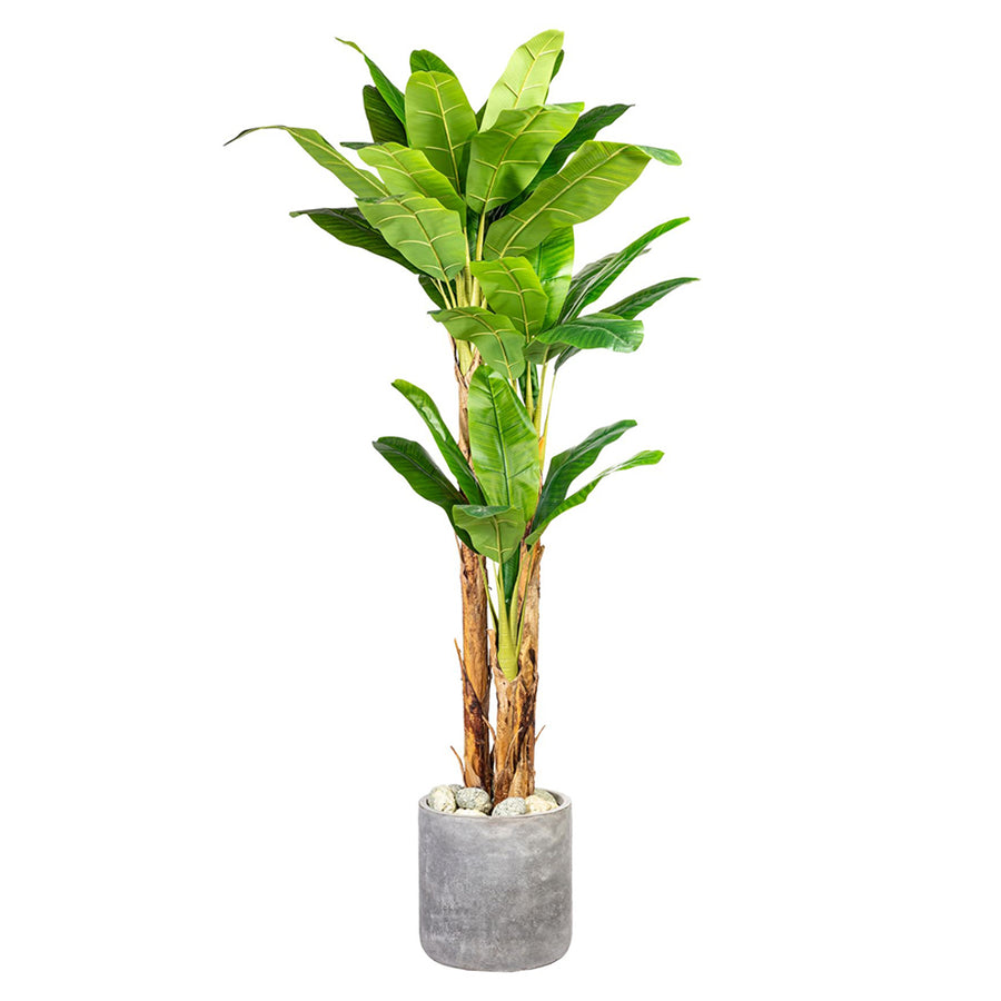 Banano 240 cm magas óriás mű banánfa kaspóban, természetes hatással