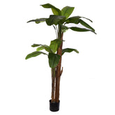 Élethű BANANO ROYAL mű royal banánfa, 165 cm magas, fekete kaspóban.
