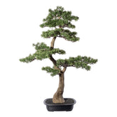 Zöld színű, mű cédrus bonsai fa, fekete színű ovális műanyag cserépben.