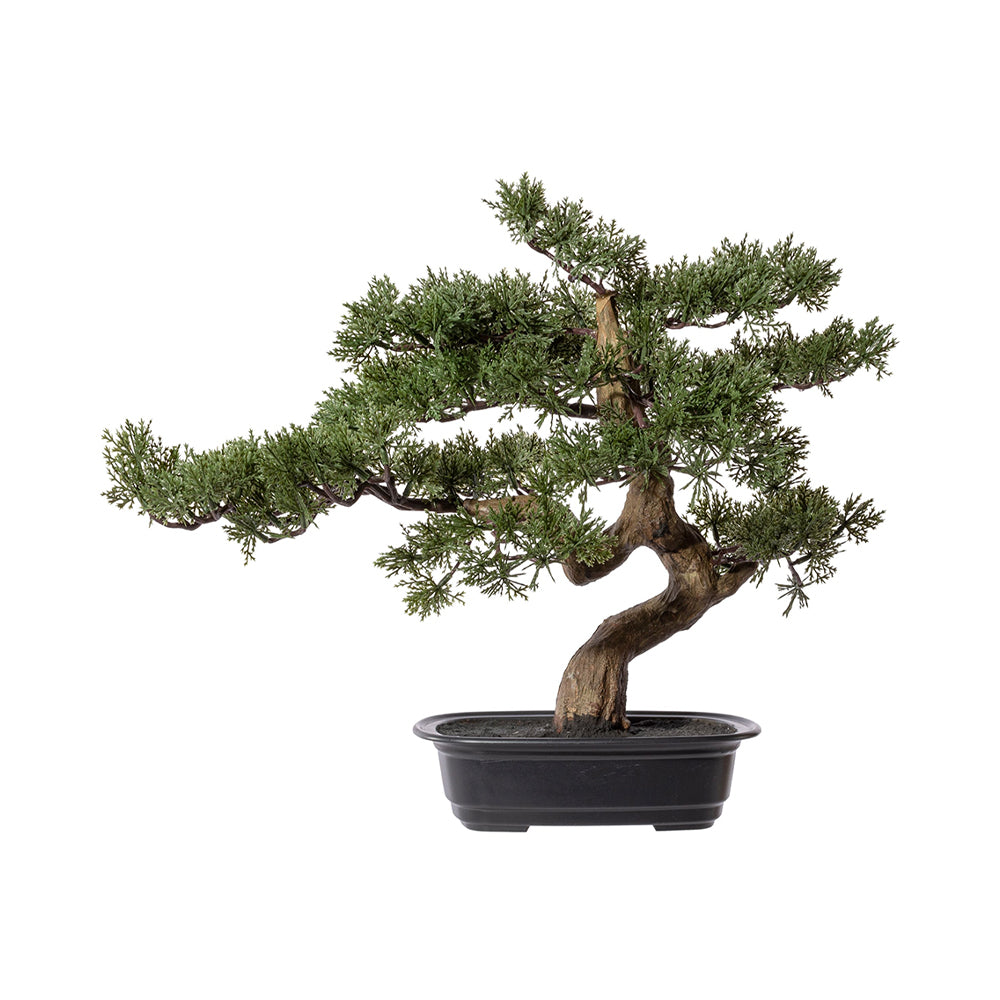 Mű cédrus bonsai fa, fekete színű ovális műanyag cserépben.