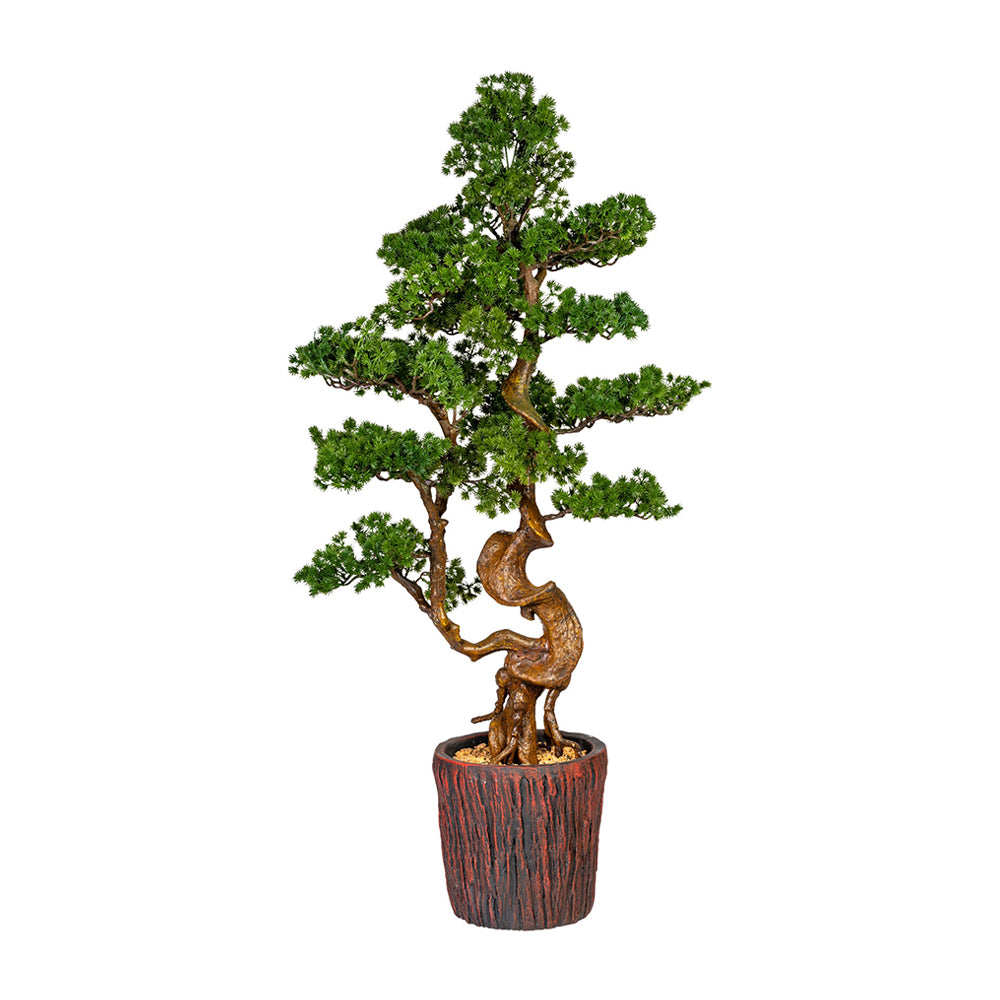 Mű vörösfenyő bonsai fa, farönk szerű kaspóban.