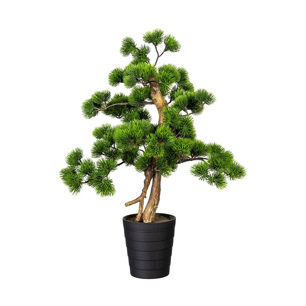 Zöld színű, mű fenyő bonsai fa, fekete színű műanyag cserépben.