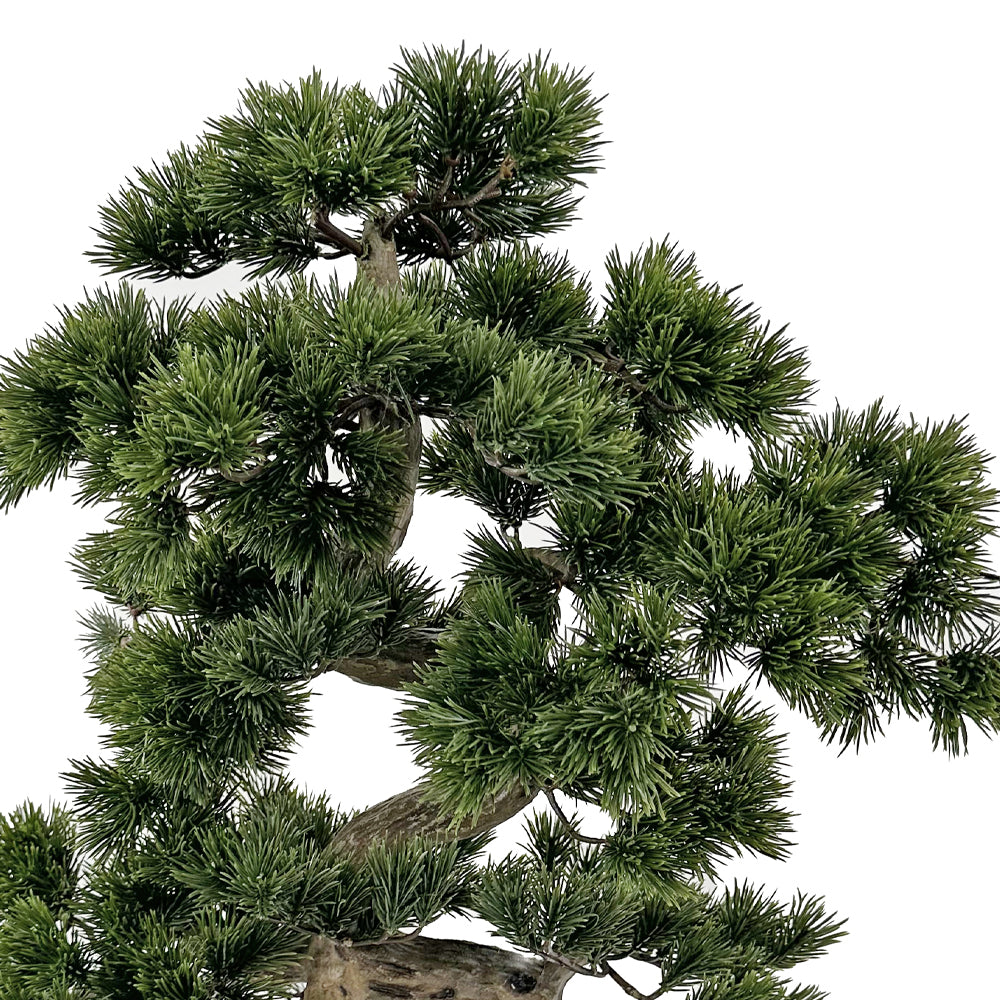 Zöld színű, mű fenyő bonsai fa, fekete színű, ovális műanyag cserépben. Zöld színű, mű fenyő bonsai fa, fekete színű, ovális műanyag cserépben.