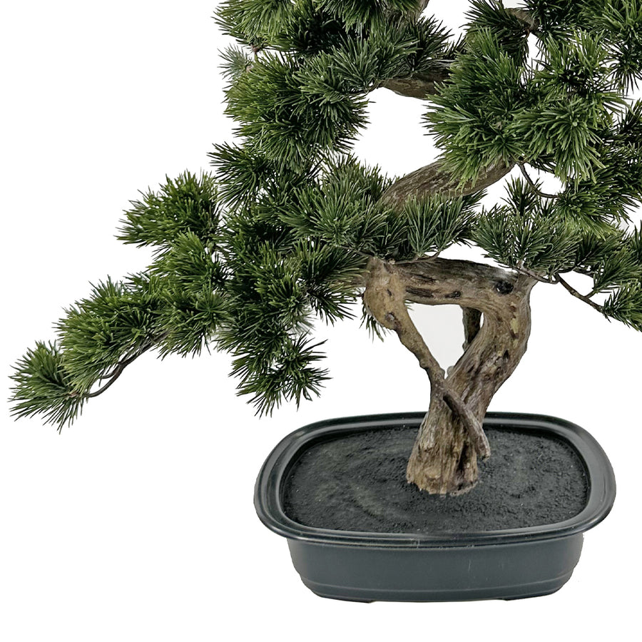 Mű bonsai fenyő ovális fekete kaspója.