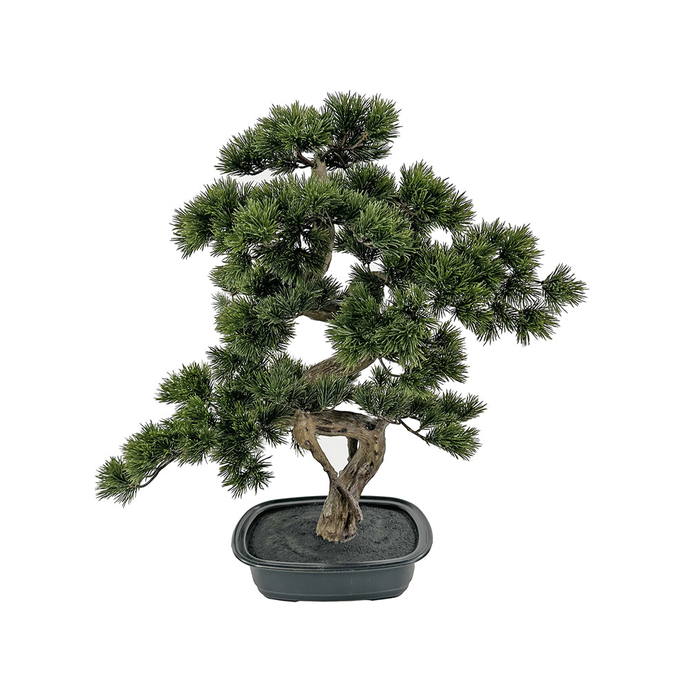 Zöld színű, mű fenyő bonsai fa, fekete színű, ovális műanyag cserépben. Zöld színű, mű fenyő bonsai fa, fekete színű, ovális műanyag cserépben.