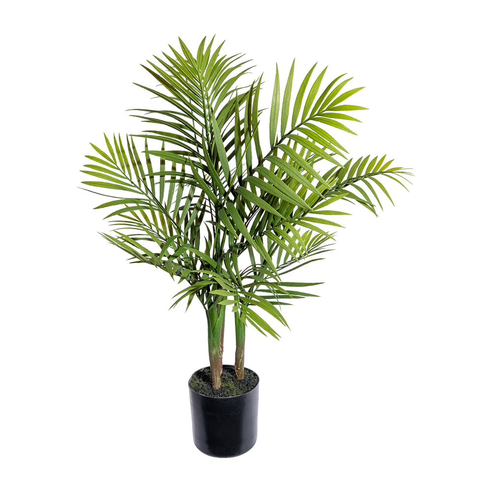 MOUNTAIN PALM zöld mű hegyipálma 65 cm fekete kaspóban.