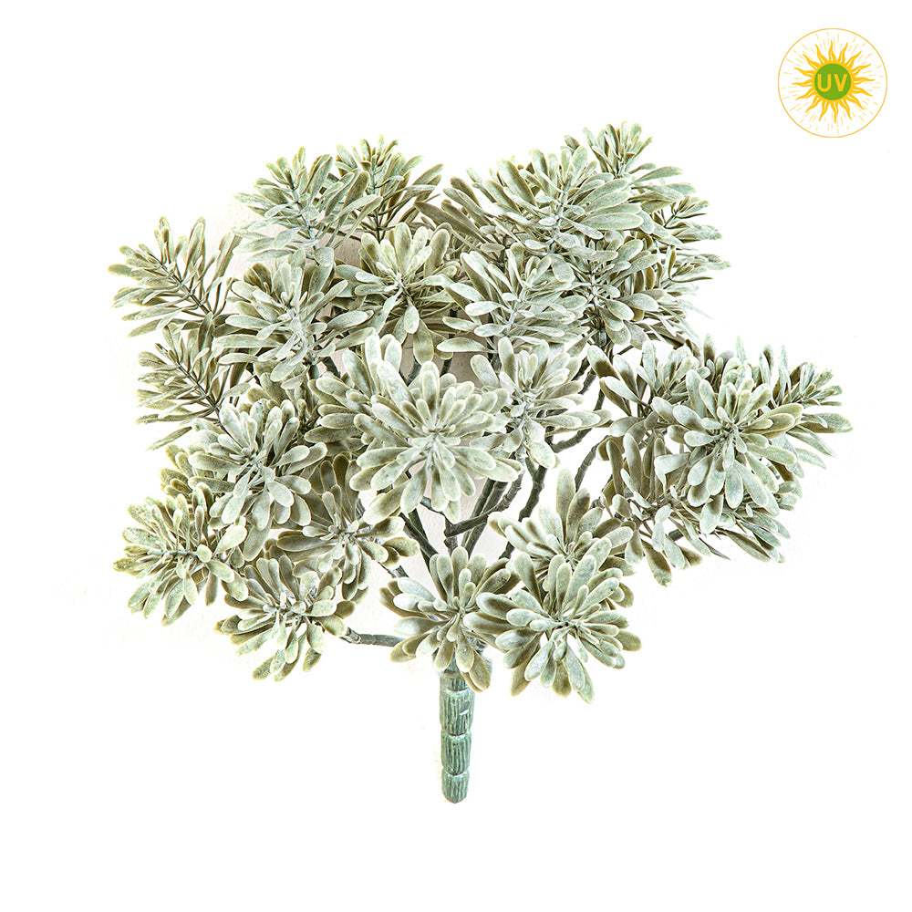 CINERARIA UV-álló betűzős mű tengerparti aggófű 22 cm CINERARIA UV-álló betűzős mű tengerparti aggófű 22 cm