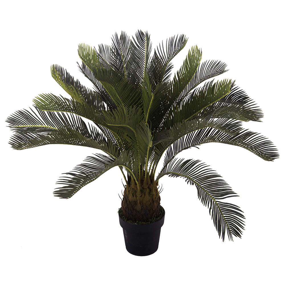 93 cm magas mű cikász pálma fekete kaspóban, trópusi stílusban