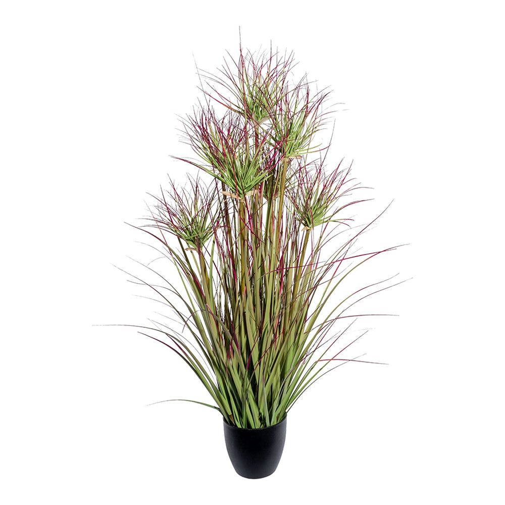 CYPERUS mű ciprusfű bokor 95 cm fekete kaspóban