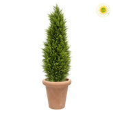 UV-álló zöld mű ciprus terrakotta kaspóban 150 cm fehér háttér előtt