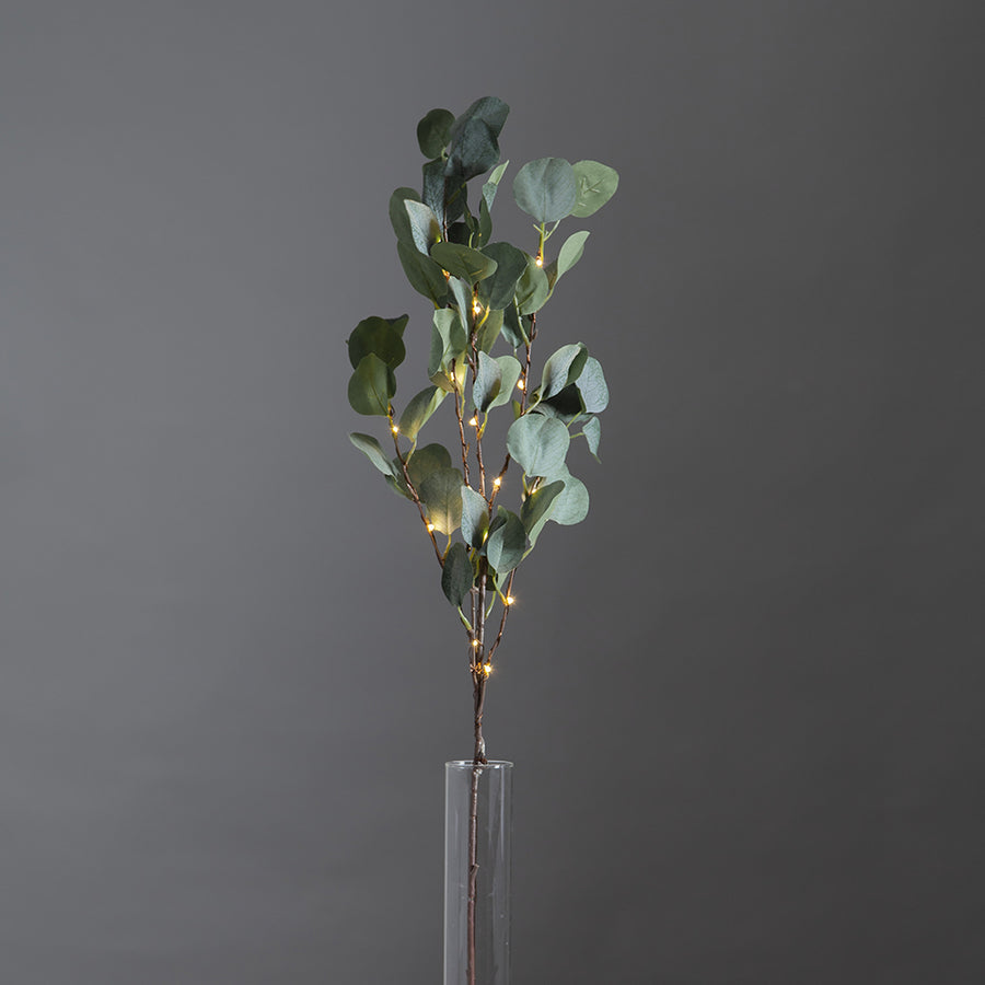 EUCALYPTUS dekorág hangulatvilágítással, modern beltéri dekoráció