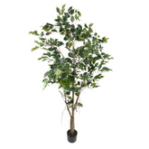 183 cm magas, élethű mű csüngőágú fikusz fekete kaspóban.