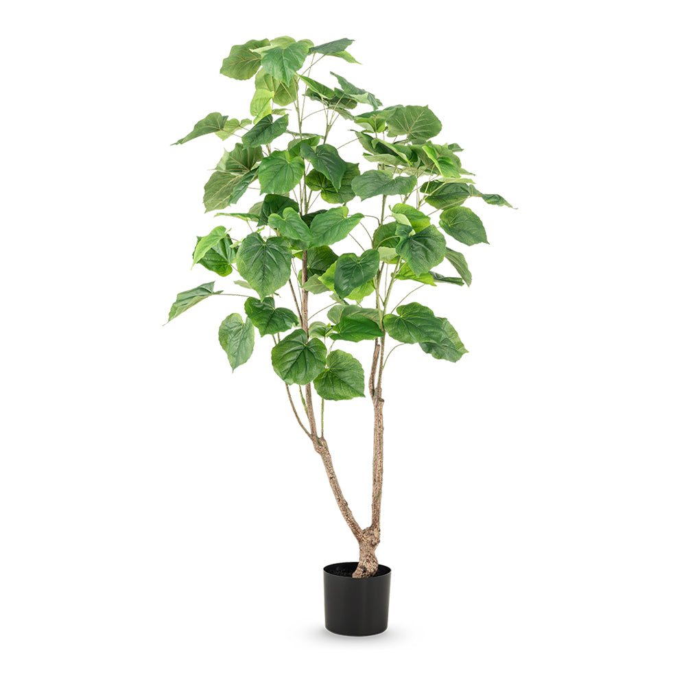 FICUS 150 cm magas zöld mű fikusz fa erezett levelekkel, elágazó, kéregmintás műtörzzsel és fekete alappal.