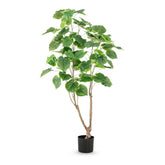 FICUS 150 cm magas zöld mű fikusz fa erezett levelekkel, elágazó, kéregmintás műtörzzsel és fekete alappal.