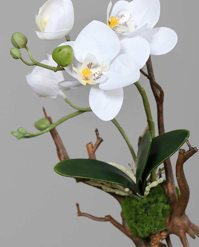 Krém színű, orchidea műnövény kompozíció.