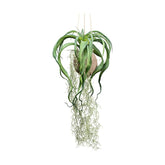 Függeszthető kialakítású, szakállbromélia műnövény dekoráció.