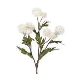 Krém színárnyalatú bogáncs művirág.