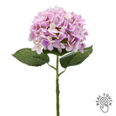 Pink mű hortenzia 60 cm real touch hatású szirmokkal fehér háttéren