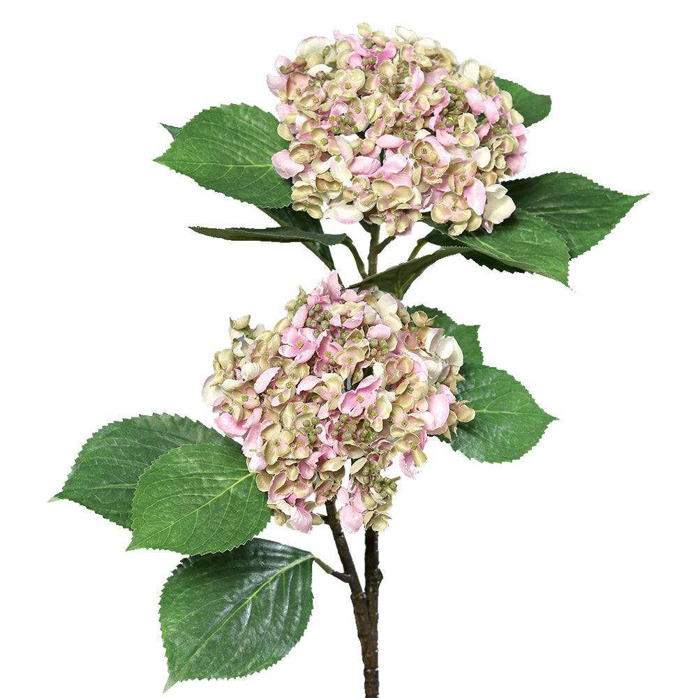 Halványpink mű hortenzia ág természetes színekkel, zöld levelekkel és két virágfejjel, szürke háttérrel.