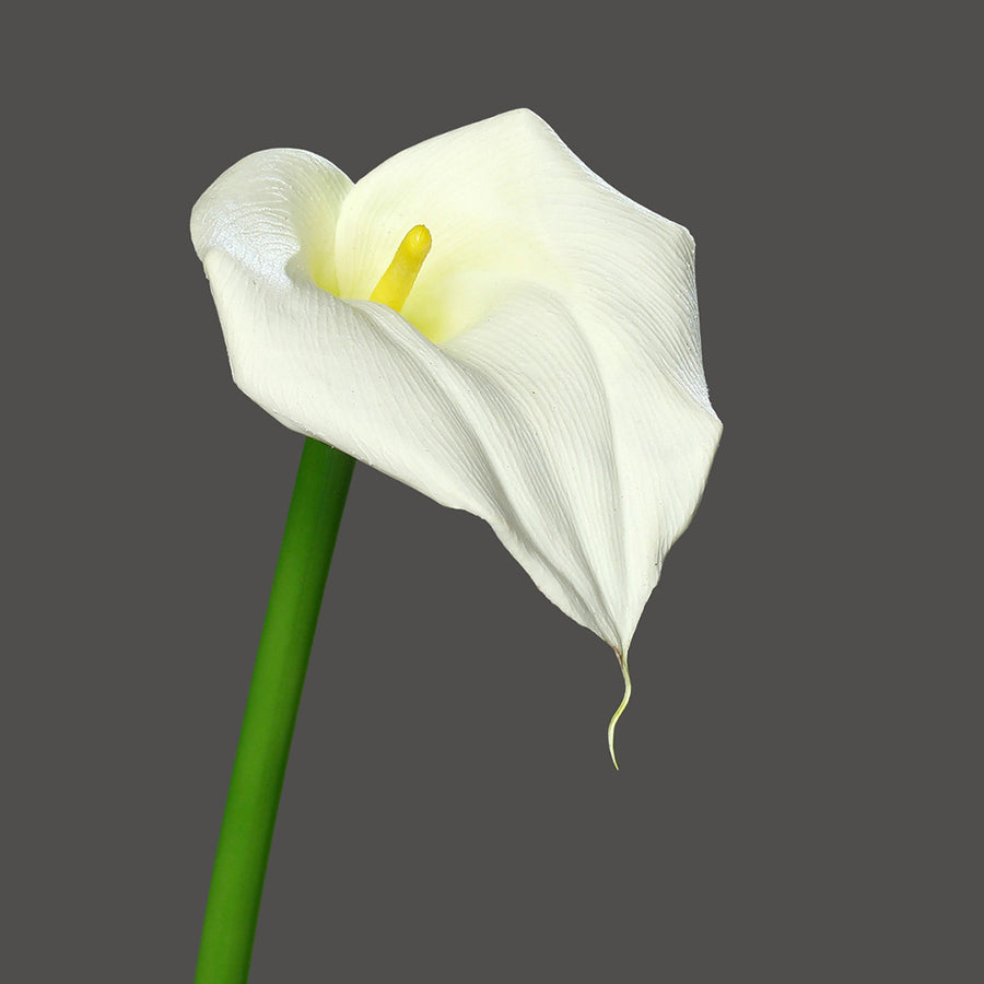 White Calla lily artificial flower with a green stem against a gray background