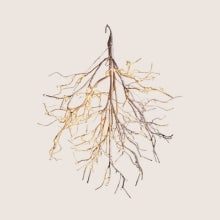 Karácsonyi Világítás