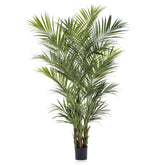 KENTIA óriás zöld mű kencia pálma 260 cm fekete kaspóban.