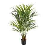 KENTIA zöld mű kencia pálma 140 cm fekete kaspóban.